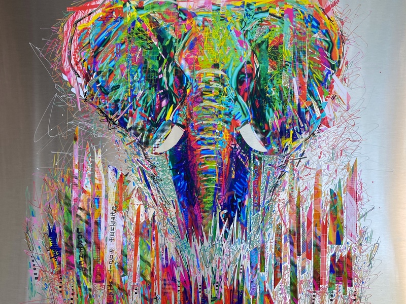 ANIMAL